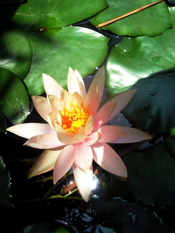 DSCN0618.JPG