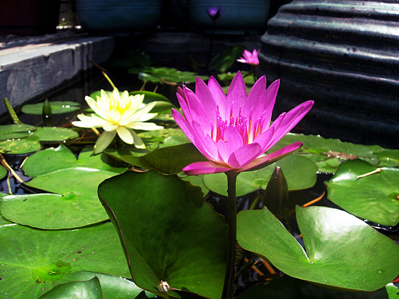 DSCN0619.JPG