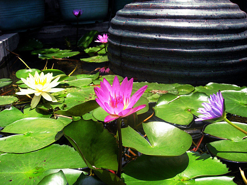 DSCN0620.JPG