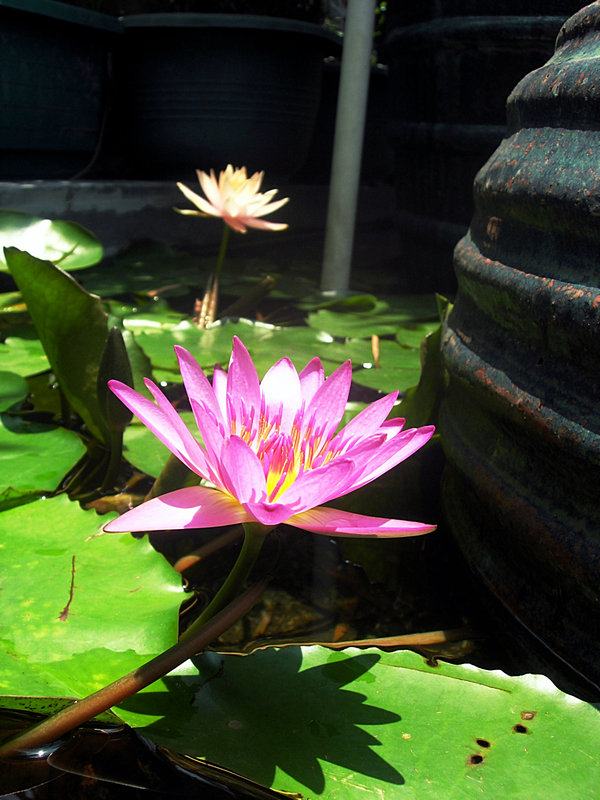 DSCN0621.JPG
