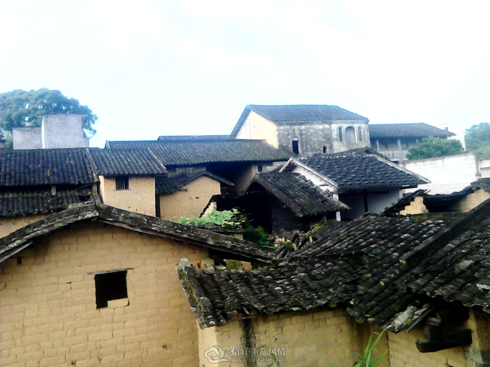 20120507_0751_0.jpg