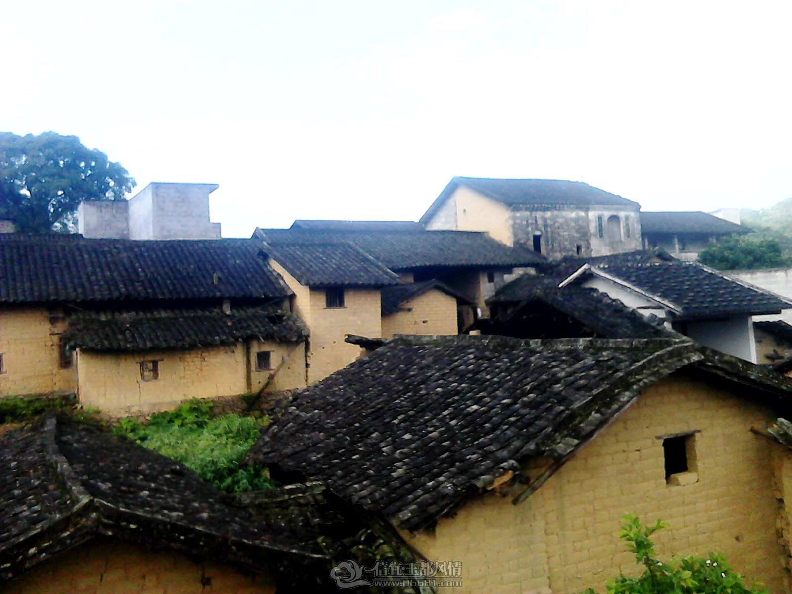 20120507_0753_2.jpg
