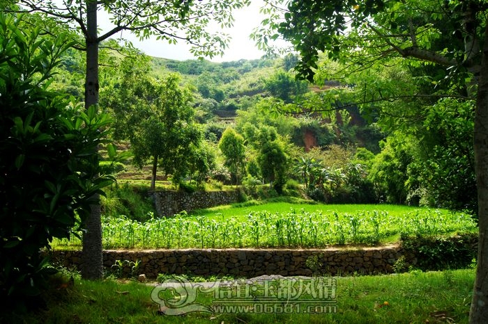 DSC01897.JPG