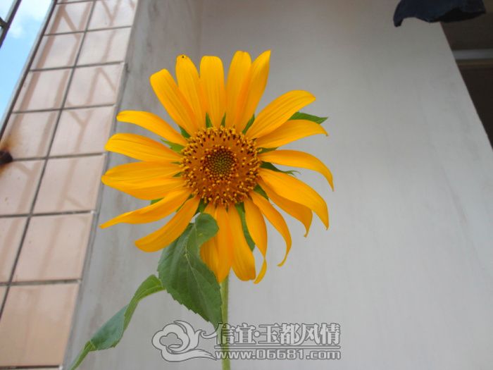 DSC01565.jpg