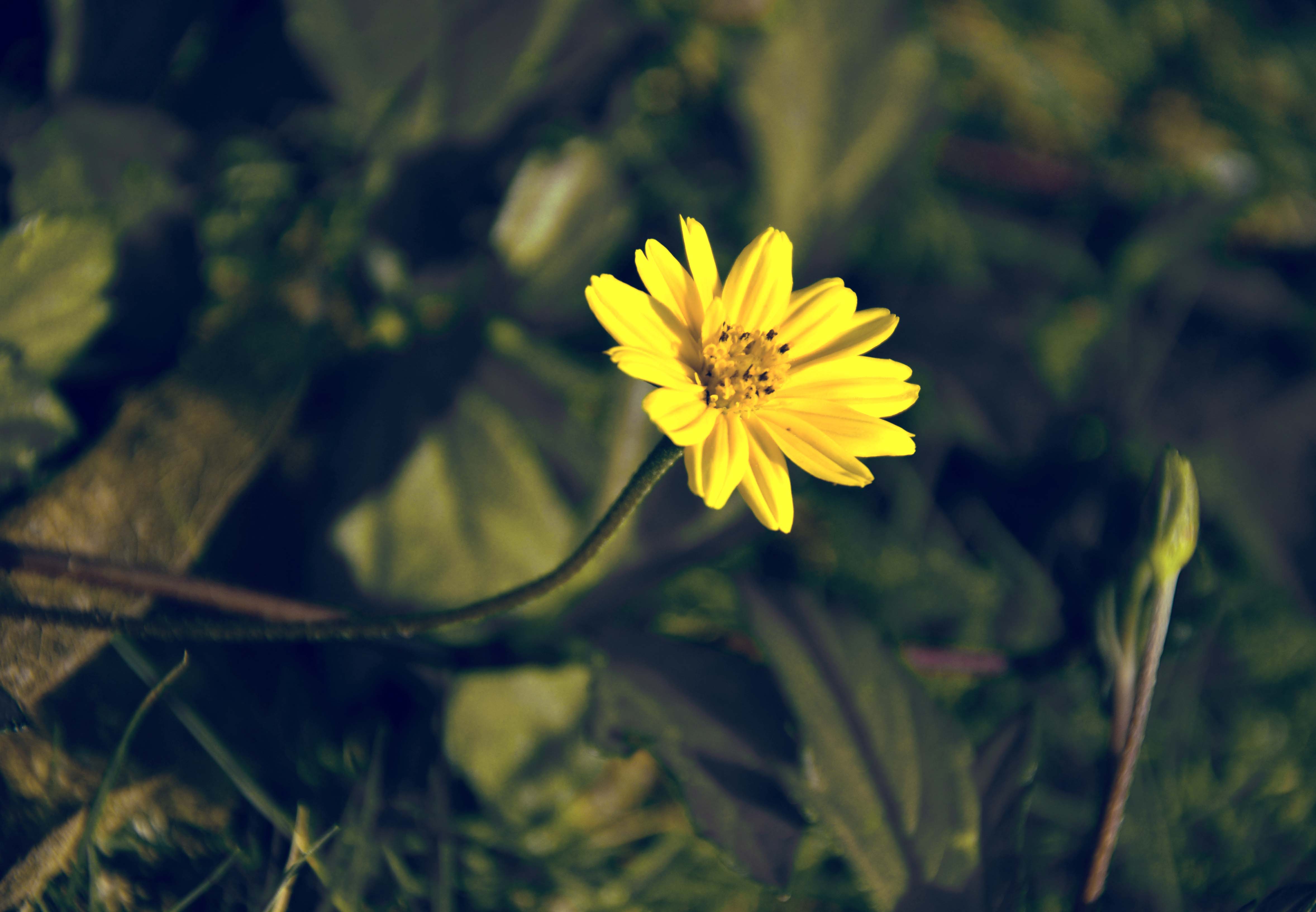 zzzDSC_9483.jpg
