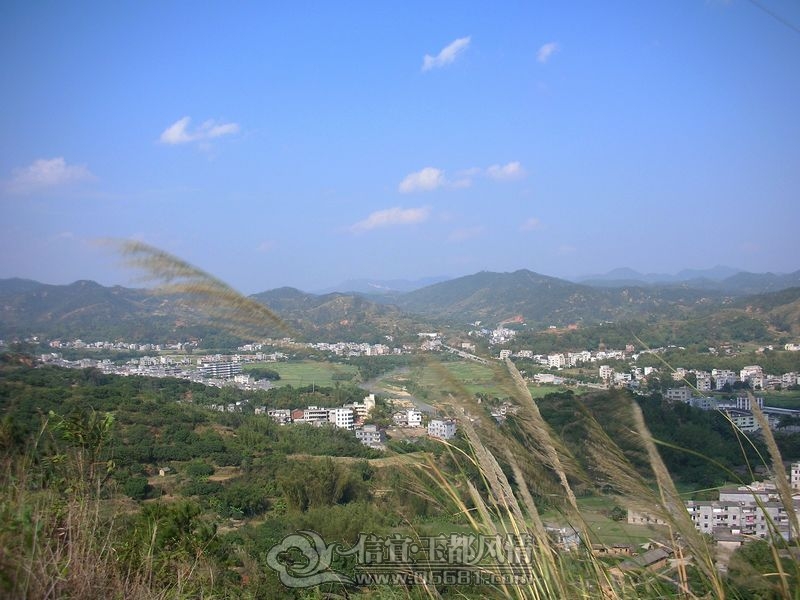 DSCN1194.JPG