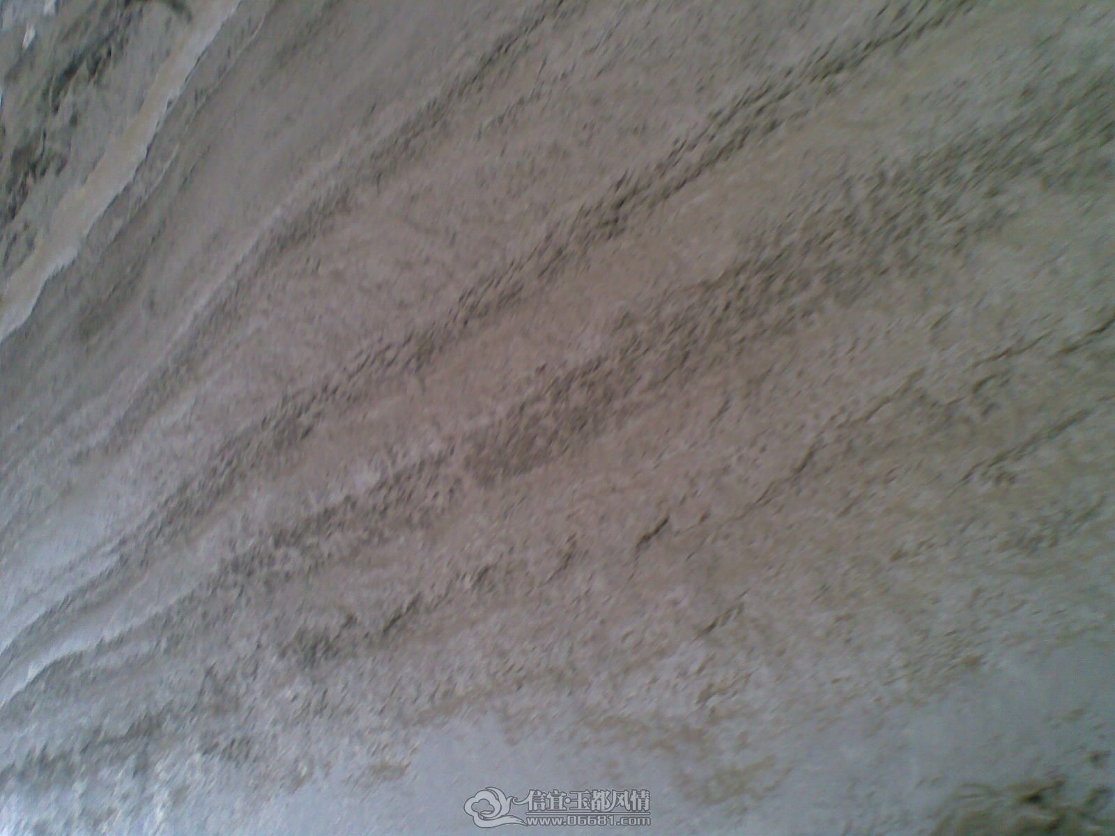 20120430(005).jpg