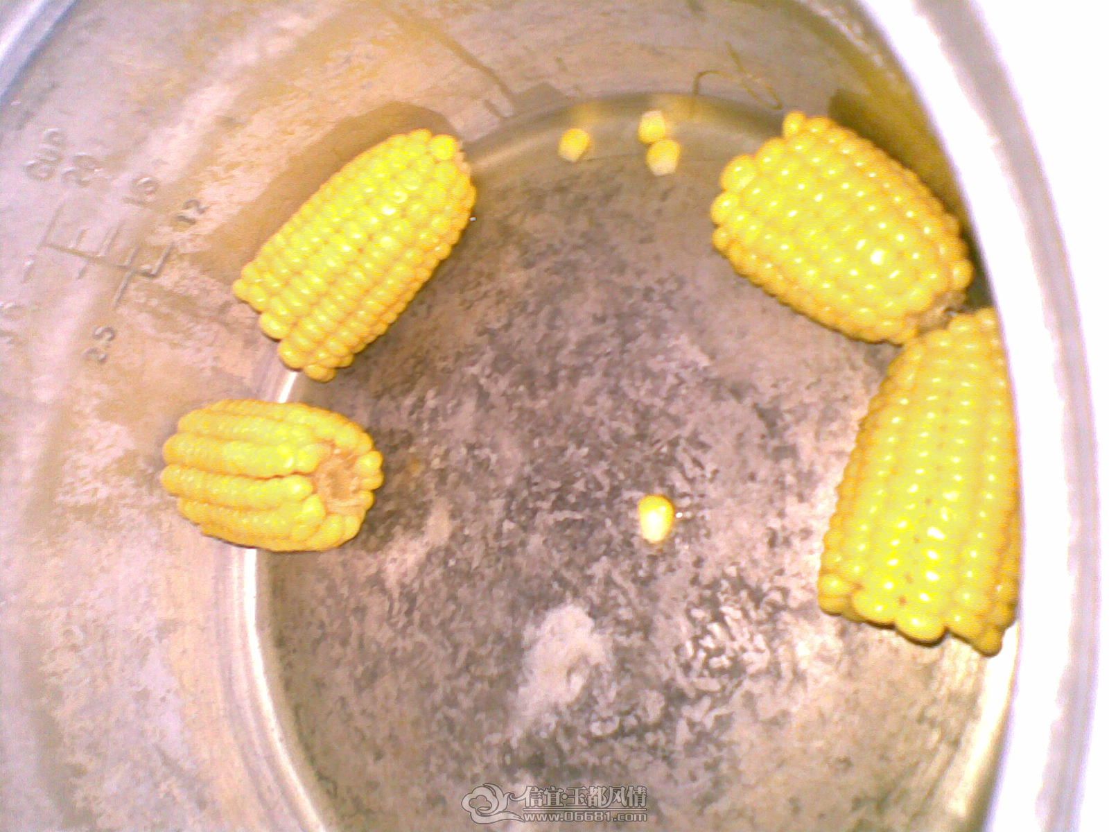 20120512(001).jpg