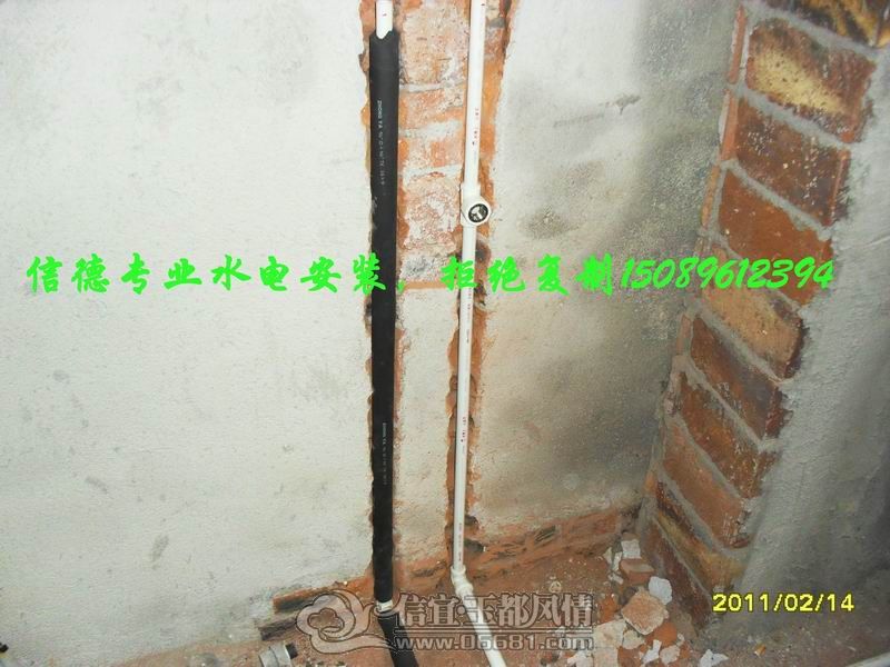 ������С SDC11146.JPG