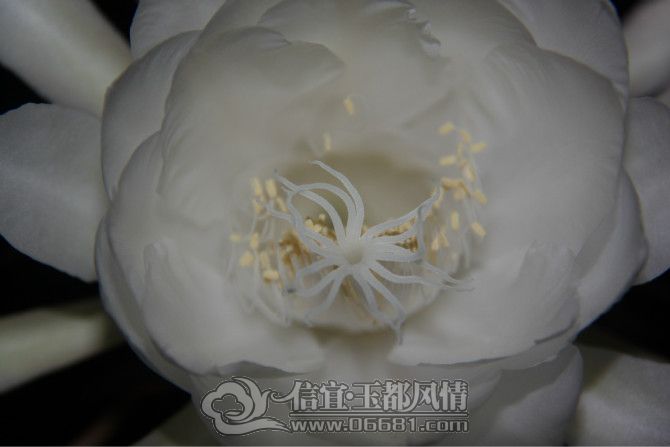 꼻�һ��6.jpg