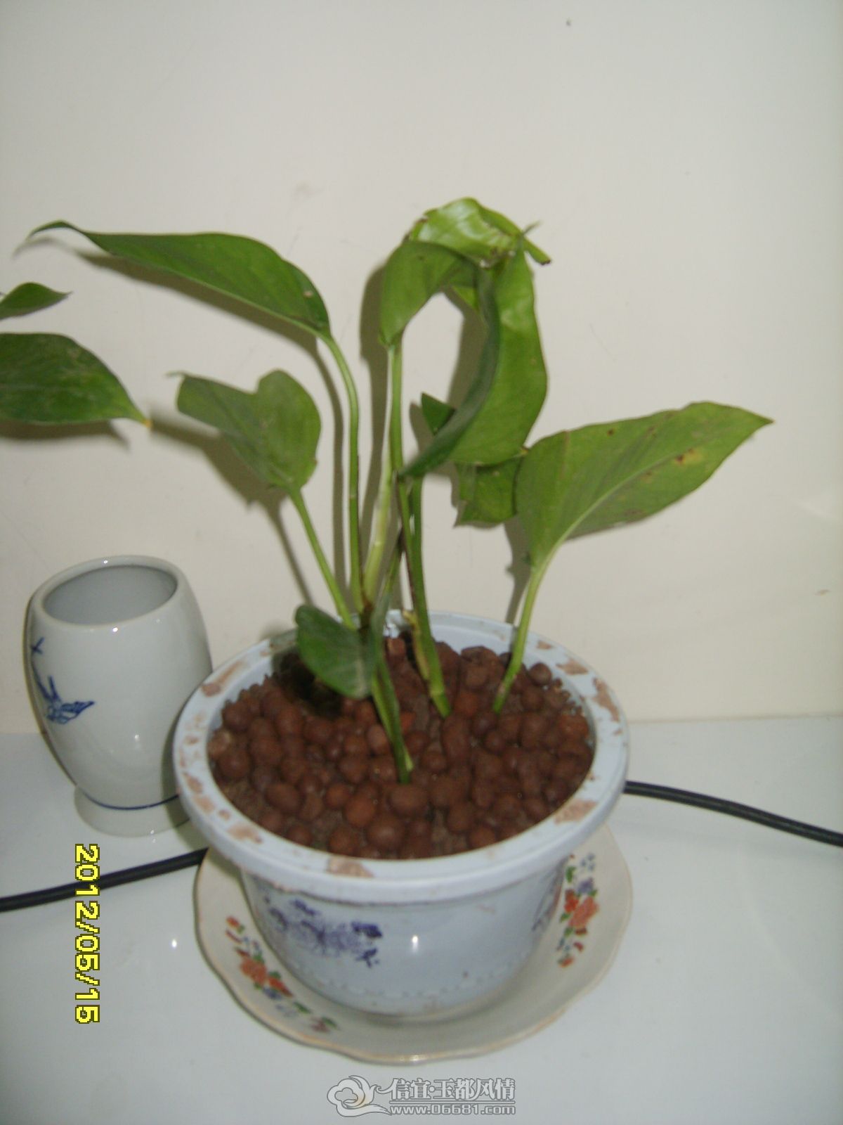 S8300924.JPG