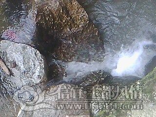 IMG0621A.jpg
