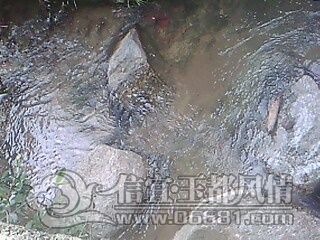 IMG0622A.jpg