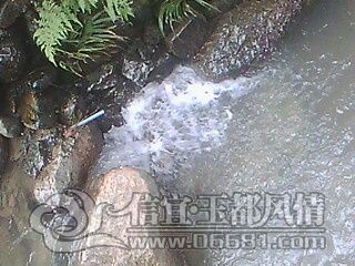 IMG0623A.jpg