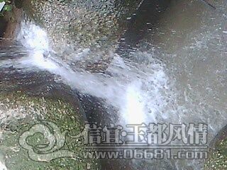 IMG0626A.jpg