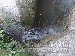 IMG0627A.jpg