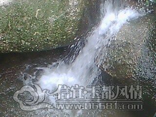IMG0628A.jpg