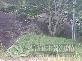 IMG0642A.jpg