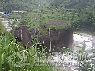 IMG0647A.jpg