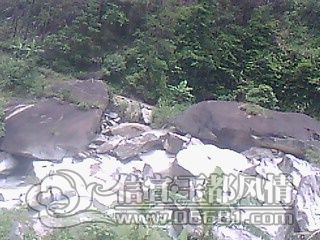 IMG0648A.jpg