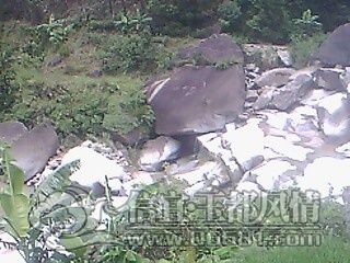 IMG0650A.jpg