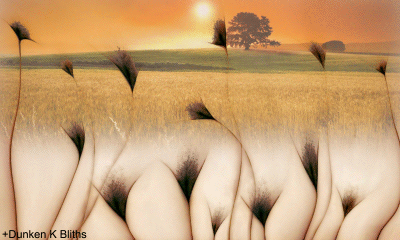 9f020129jw1dt0whkdd11g.gif