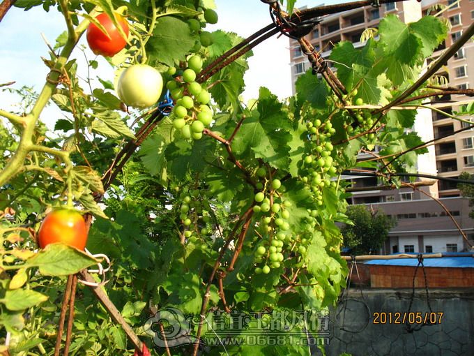 2012-05-07 086.jpg