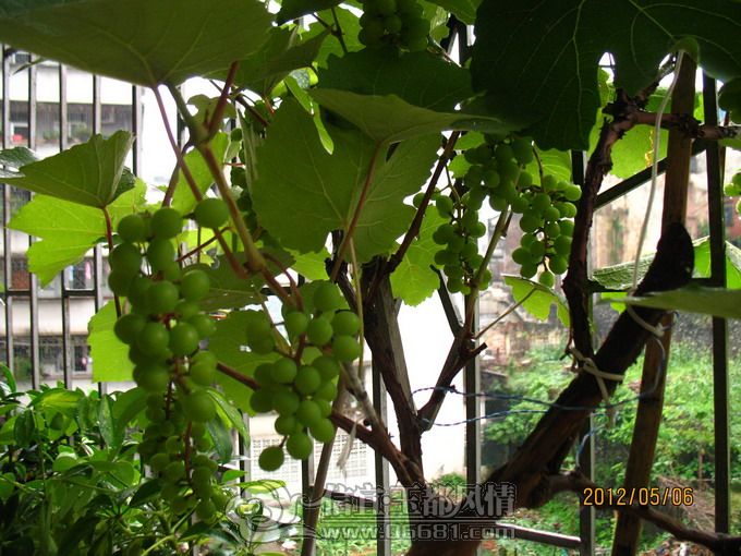 2012-05-07 027.jpg