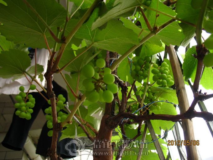 2012-05-07 028.jpg