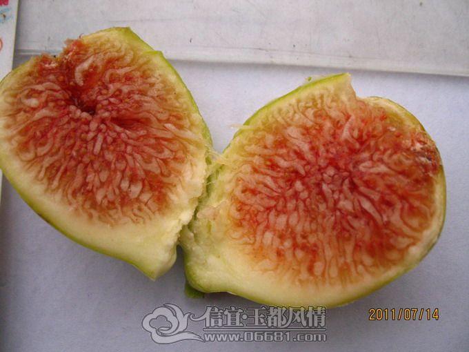 2011-7-20��Ƥ 4.jpg