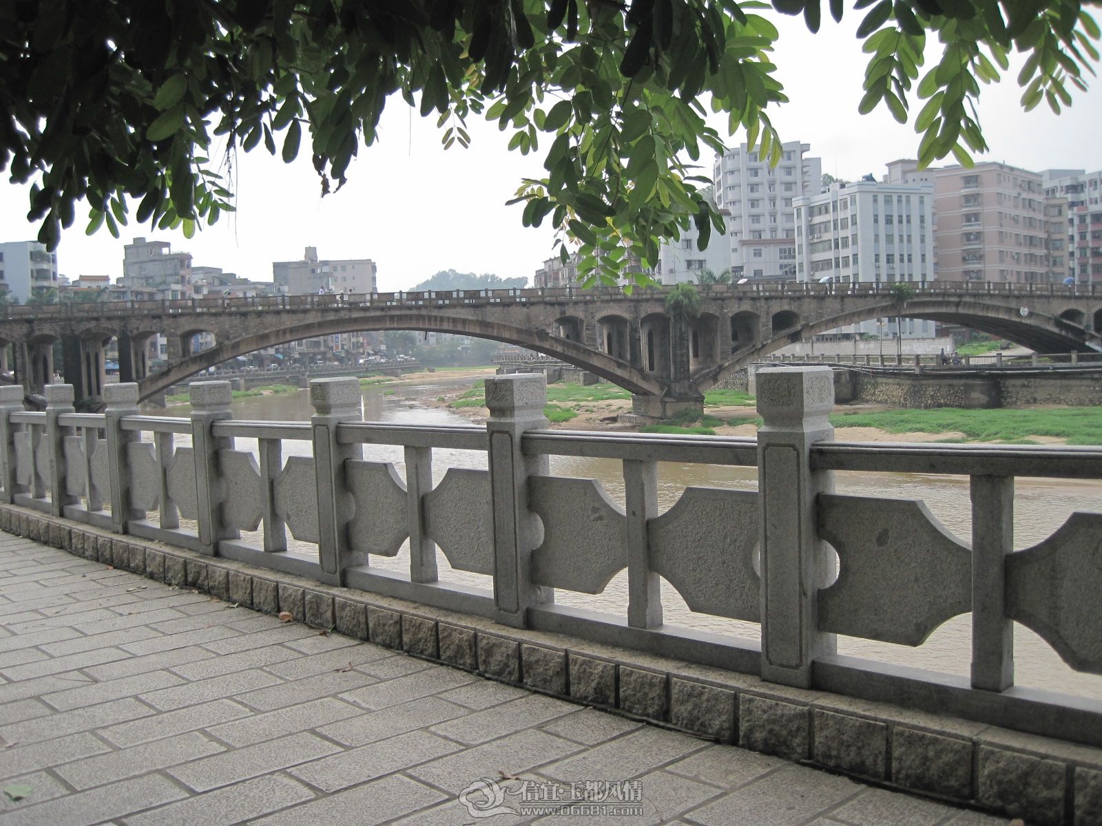 IMG_1047.JPG