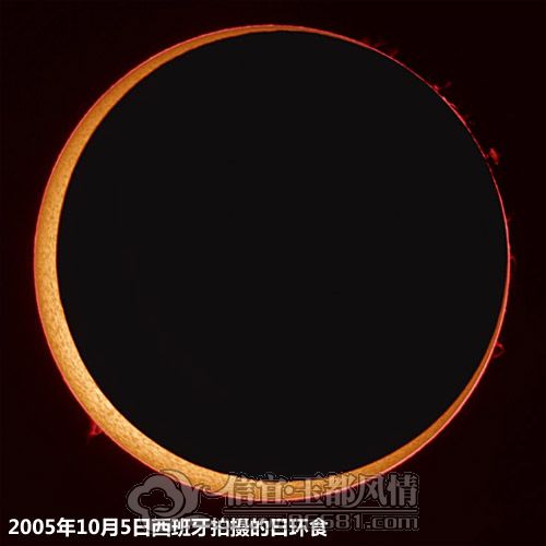 2790352_02.jpg