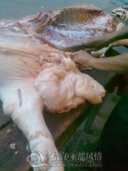 201205134236.jpg