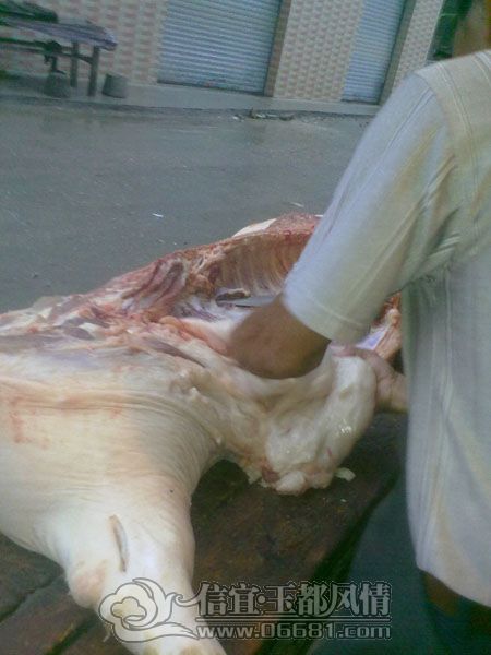 201205134234.jpg