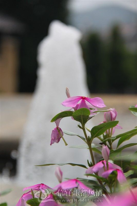 IMG_1631.jpg