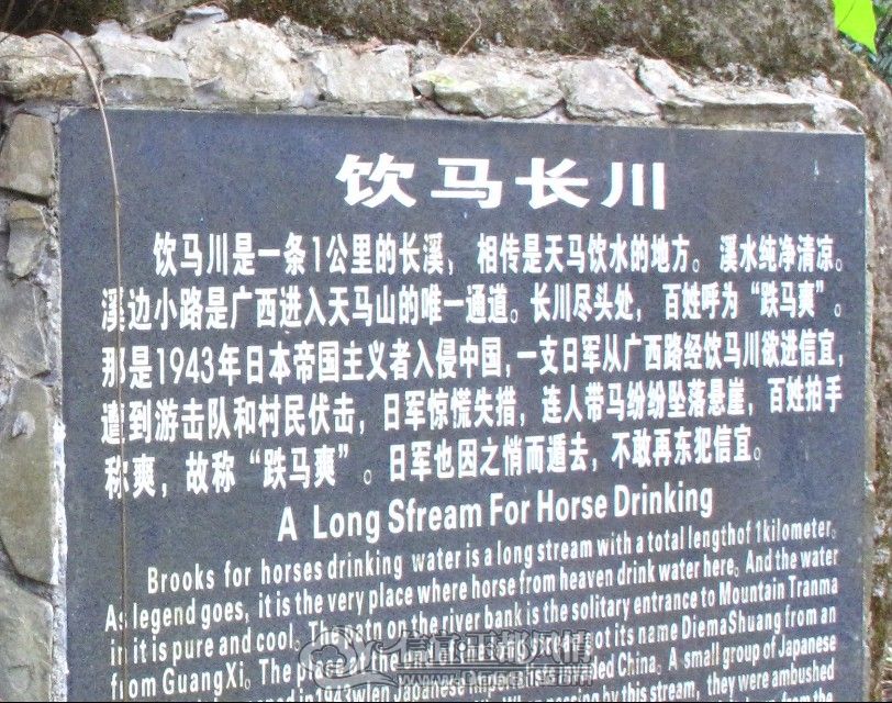 04.jpg