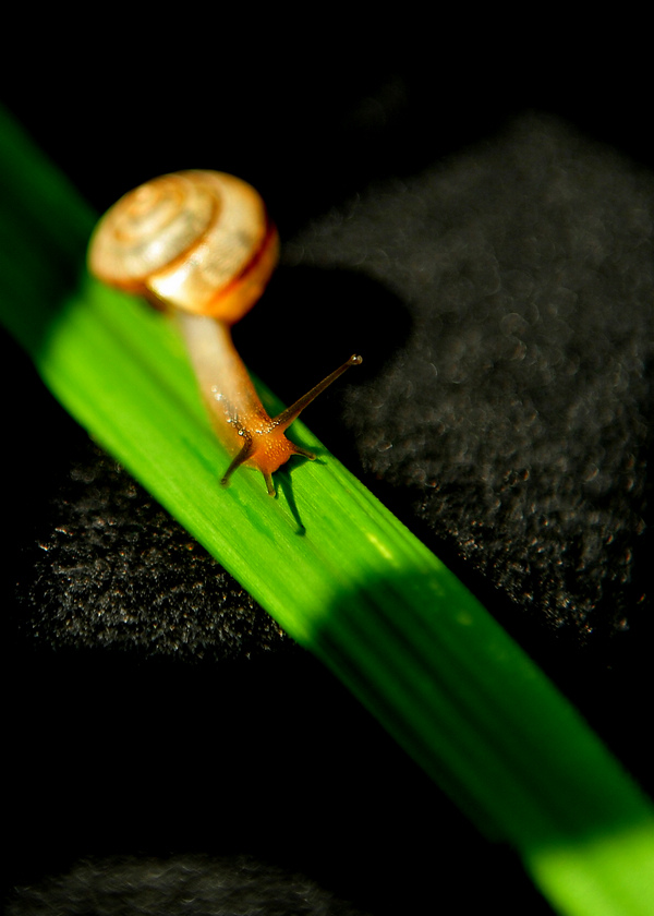 DSC_5801.jpg
