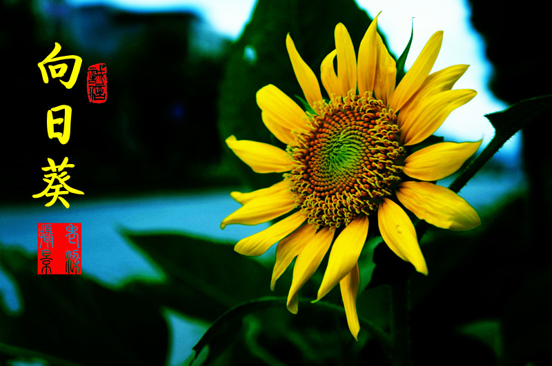 DSC00957_����_����.jpg