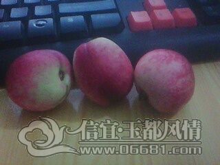 IMG0699A.jpg
