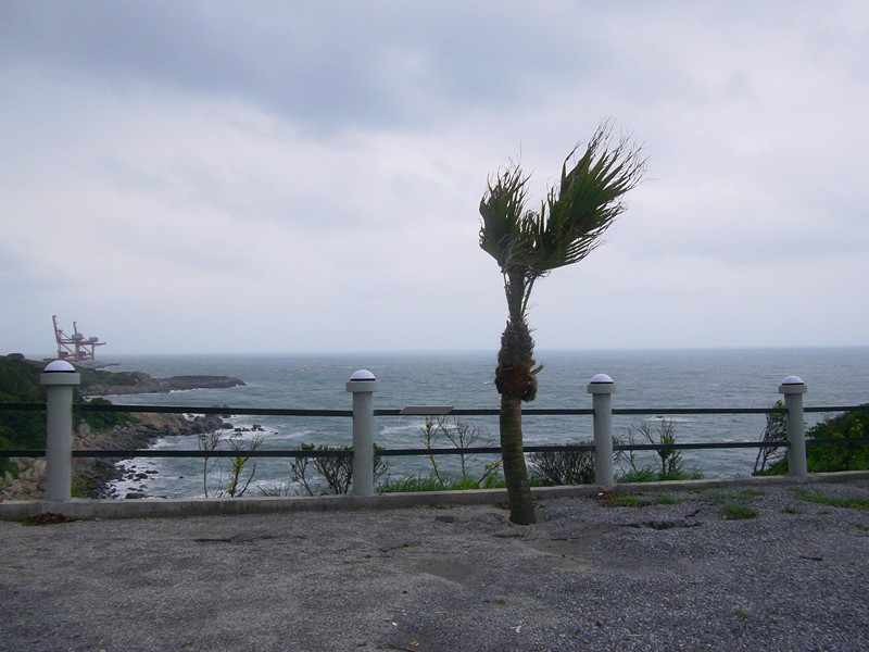 IMGP3984_����.jpg