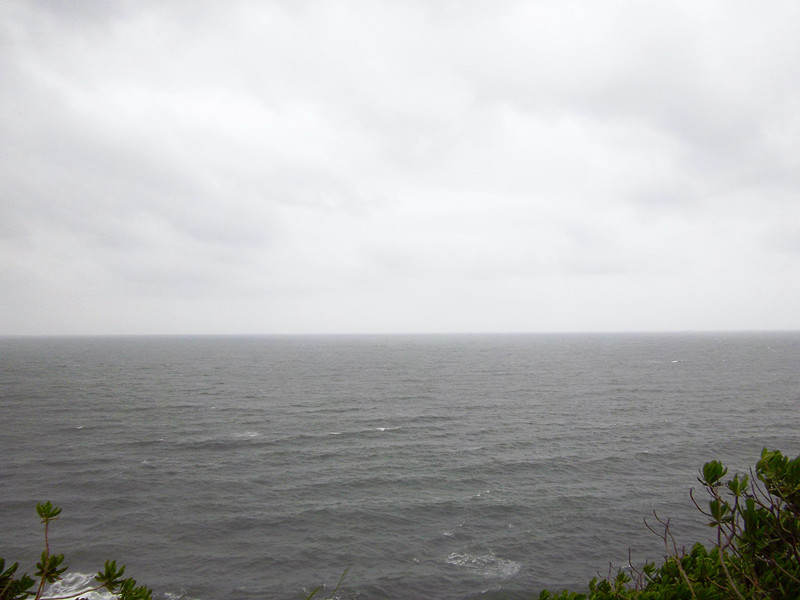 IMGP4021_����.jpg