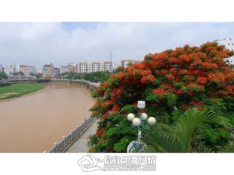 P1000449(001)(001).jpg