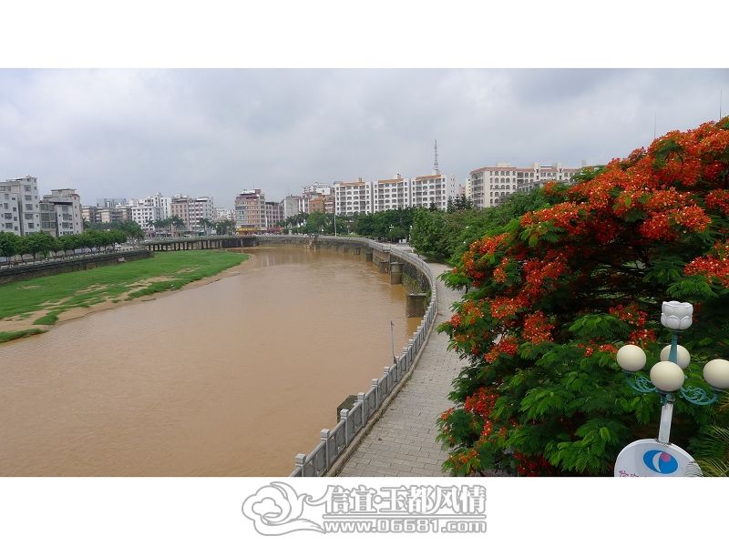 P1000465(001)(001).jpg