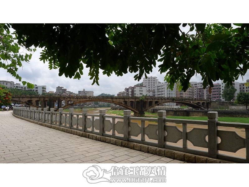 P1000484(001)(001).jpg