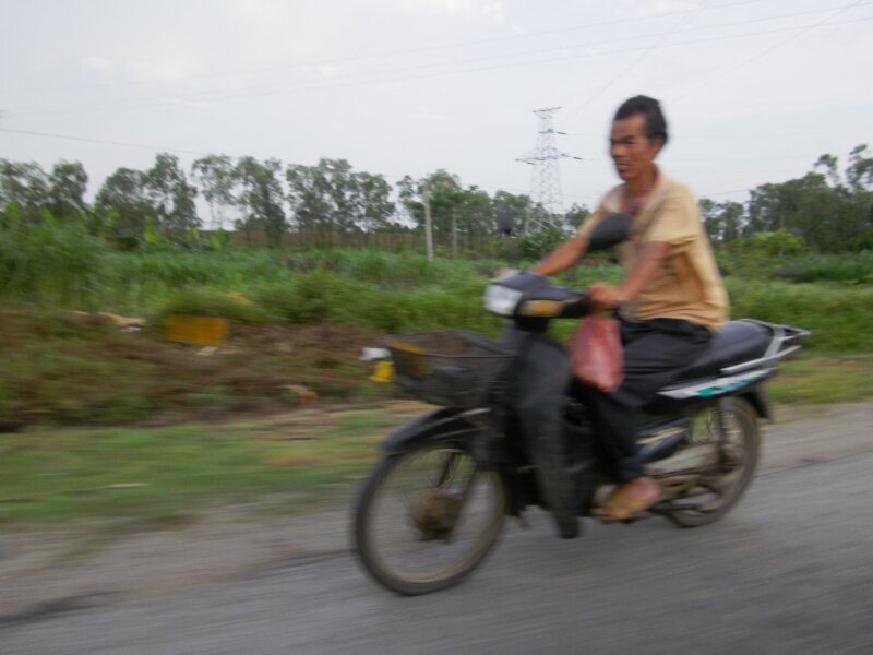 IMGP2957.jpg
