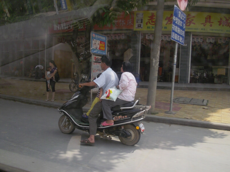 IMGP3534.jpg