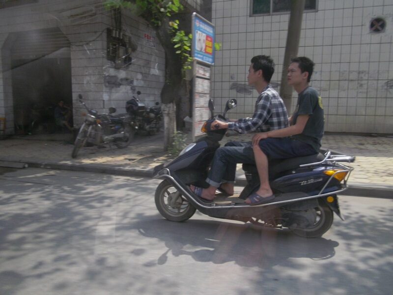 IMGP3538.jpg