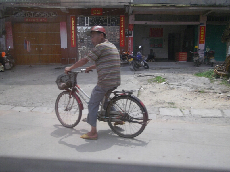 IMGP3568.jpg