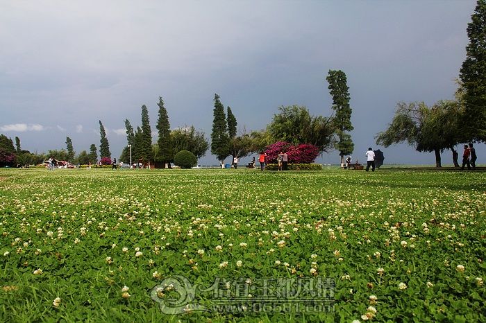 2011-7.jpg