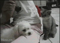 1E5BMLB2_~]GO@X@HU2PI[B.gif